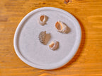 Blob Arena Tray