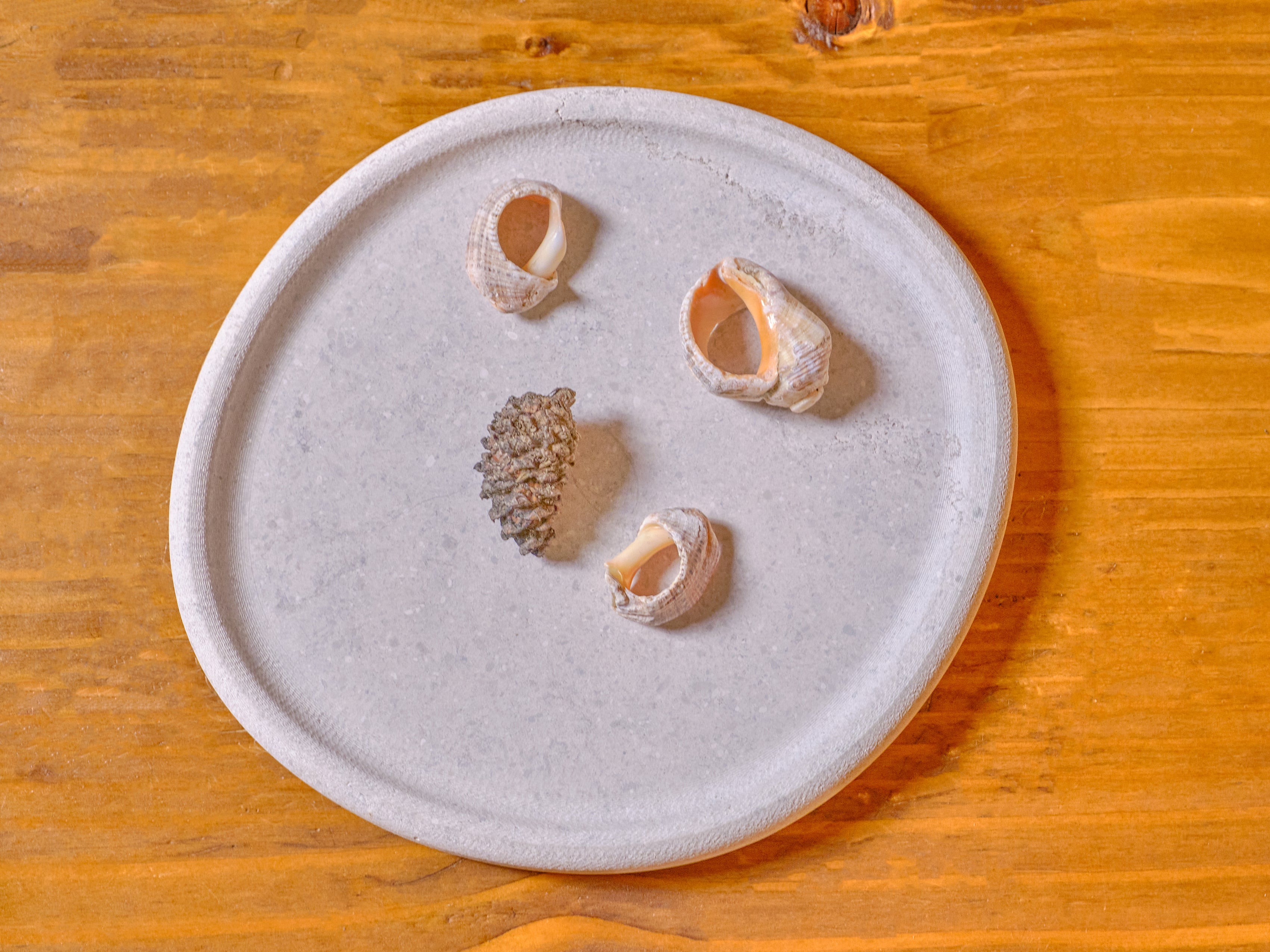 Blob Arena Tray
