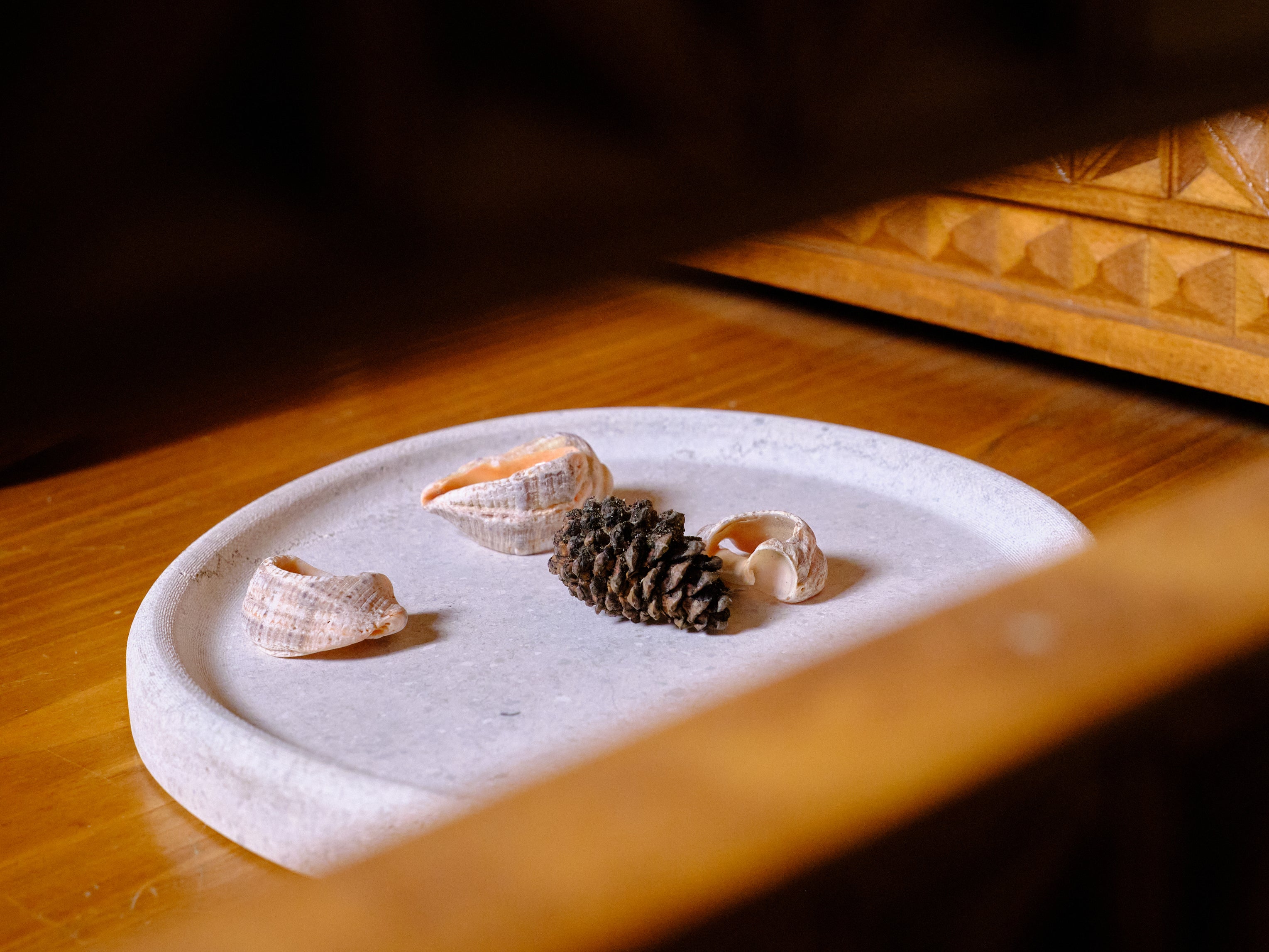 Blob Arena Tray